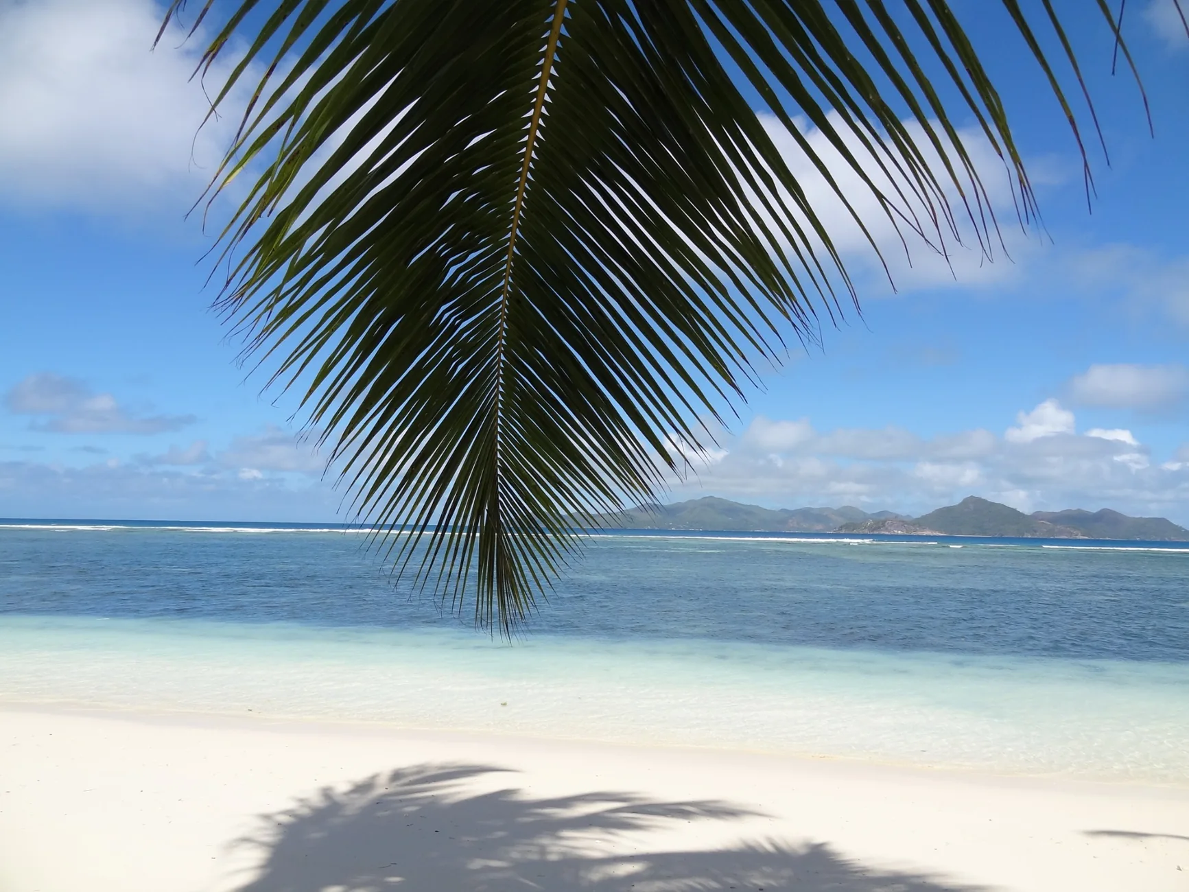 Plage de sable blanc et palmier sous le soleil des Seychelles