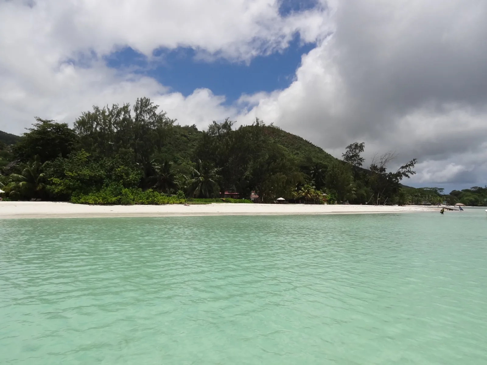 Lagon calme et plage bordée de palmiers