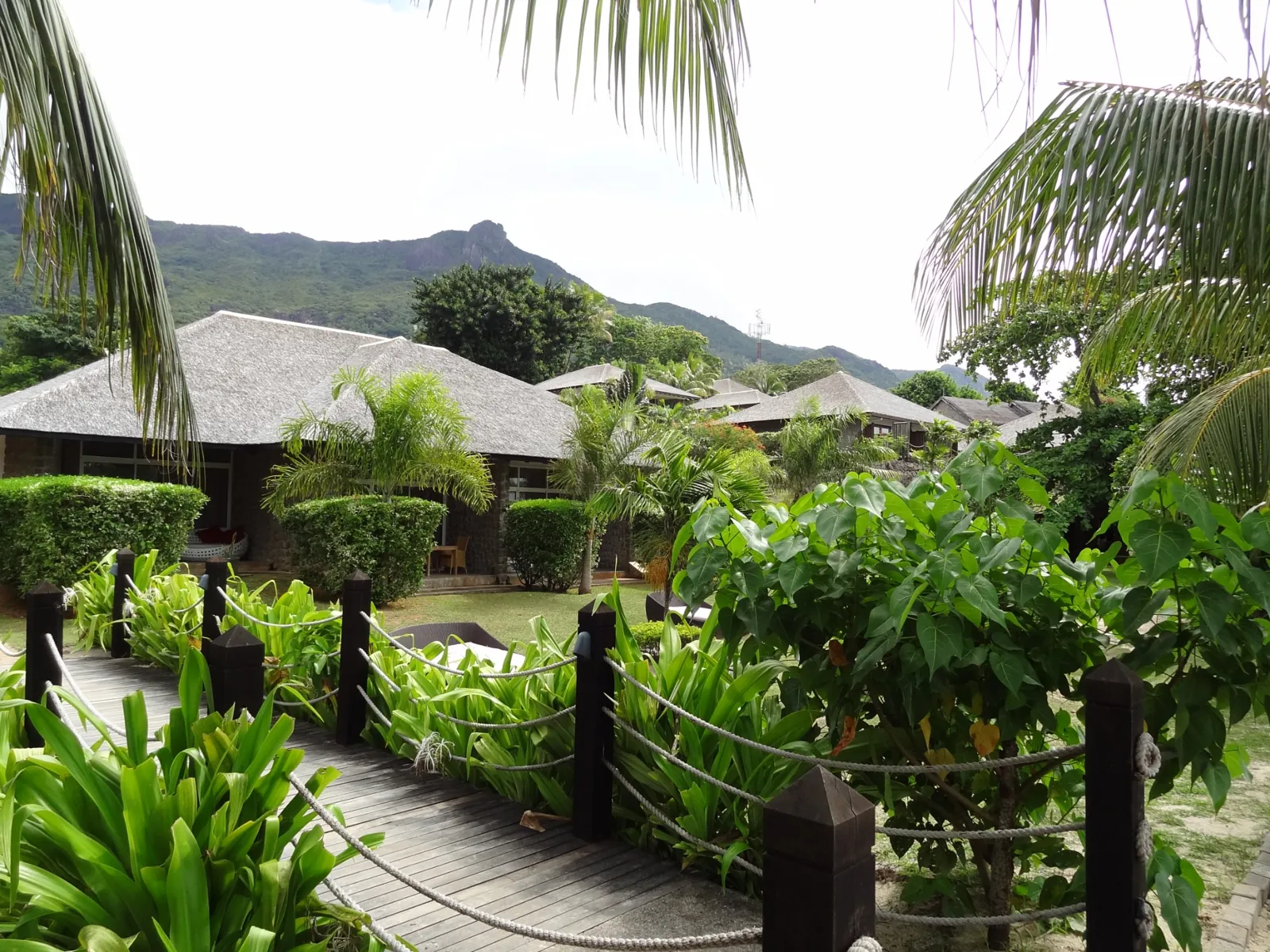 Jardin luxuriant des Seychelles